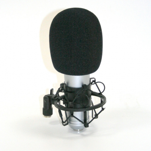 Студийный микрофон INVOTONE SM150B #2 - фото 2
