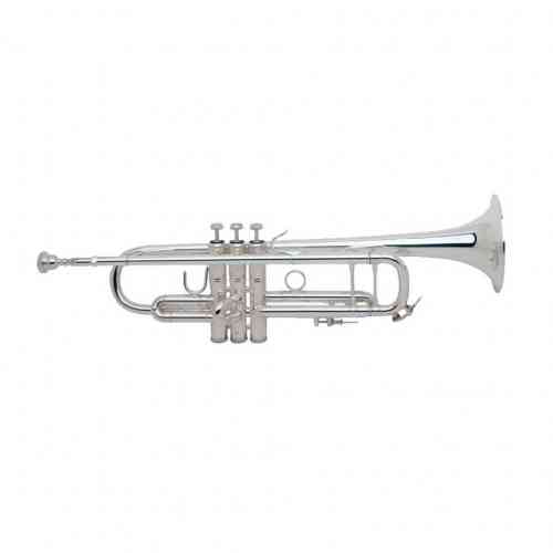 Музыкальная труба Brahner TR-3000S #1 - фото 1