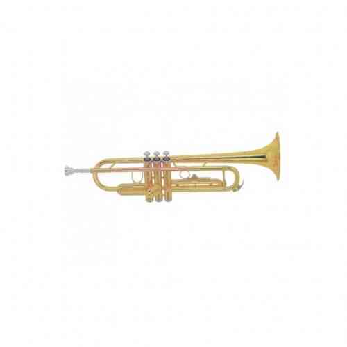 Музыкальная труба Brahner TR-3000GP #1 - фото 1