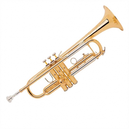 Музыкальная труба Vincent Bach TR-200 #1 - фото 1