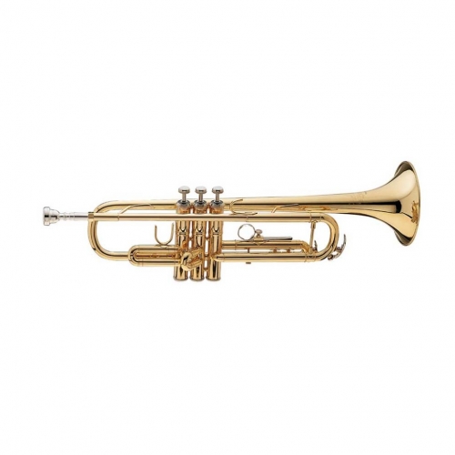 Музыкальная труба Vincent Bach TR-710 #1 - фото 1