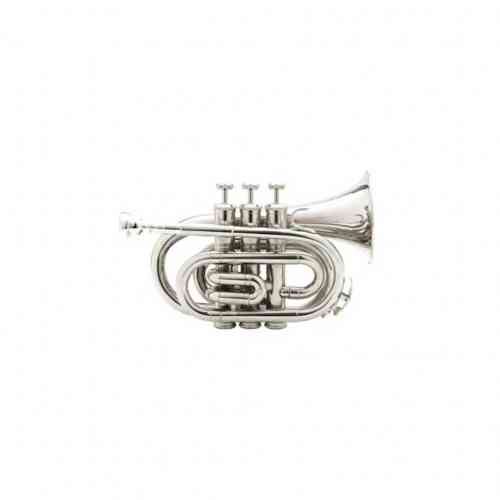 Музыкальная труба Vincent Bach PT-710S #1 - фото 1