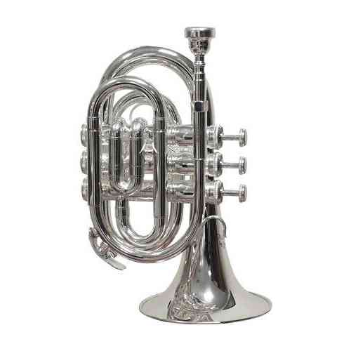 Музыкальная труба Vincent Bach PT-710S #2 - фото 2