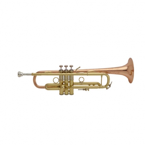 Музыкальная труба Vincent Bach LR190 43B #1 - фото 1