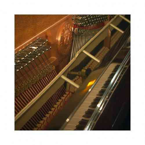 Акустическое пианино Weber W 118C красное дерево, полированное #4 - фото 4