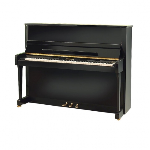 Акустическое пианино Hoffmann Vision V-120 черное, полированное #1 - фото 1