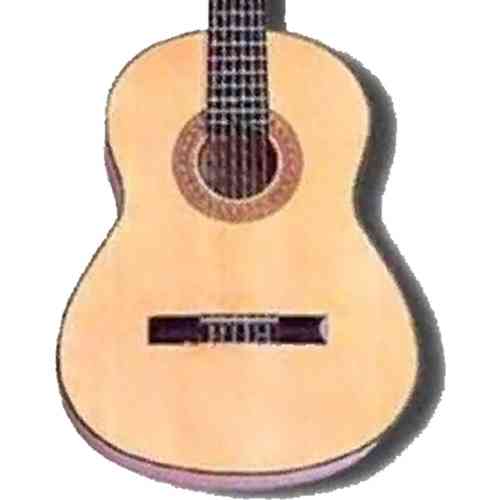 Классическая гитара Juan Hernandez Artista Membrane+Wood Hard case #1 - фото 1