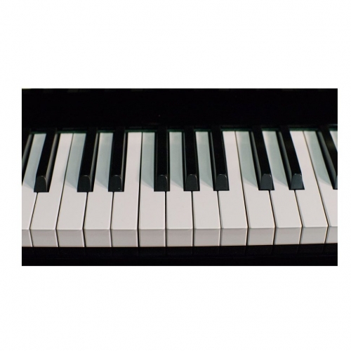 Акустическое пианино Weber W131 черное, полированное #3 - фото 3