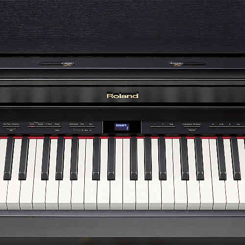 Цифровое пианино Roland HP504-CB #3 - фото 3