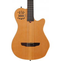 godin 012817