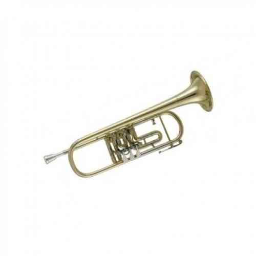 Музыкальная труба V.F. Cerveny CTR 501PX-O #1 - фото 1