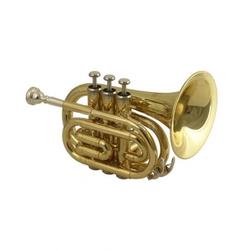Музыкальная труба Wisemann DPT-400 #1 - фото 1