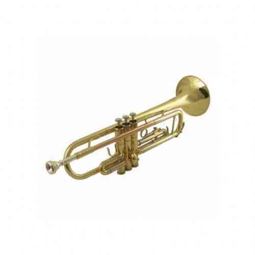 Музыкальная труба Wisemann DTR-200 #1 - фото 1