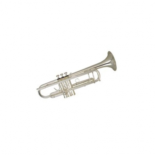 Музыкальная труба Wisemann DTR-500SP #1 - фото 1