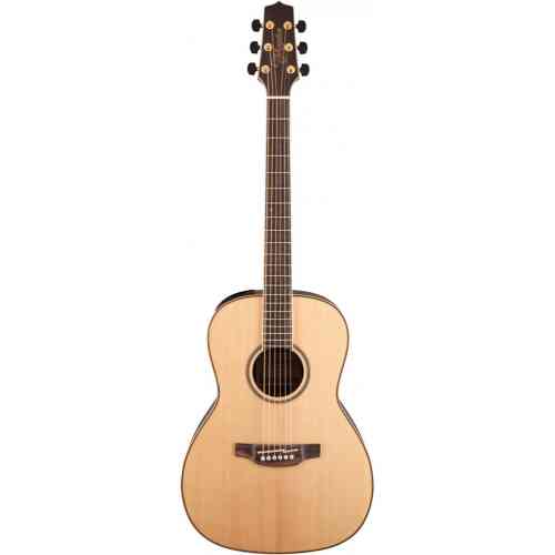 Акустическая гитара Takamine G90 Series GY93 #2 - фото 2