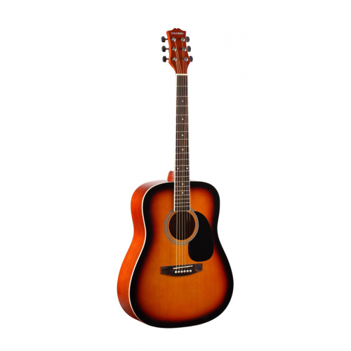 Акустическая гитара Colombo LF-4000 SB #2 - фото 2