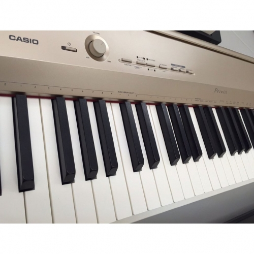 Цифровое пианино Casio Privia PX-160GD #1 - фото 1