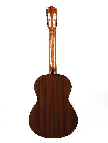 Классическая гитара PEREZ 620 Cedar #3 - фото 3