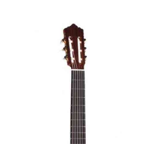 Классическая гитара Perez 640 Spruce #3 - фото 3