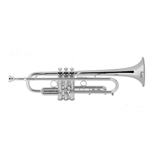 Музыкальная труба Vincent Bach LT190S1B #1 - фото 1