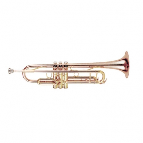 Музыкальная труба Brahner TR-550GB #1 - фото 1