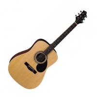 Акустическая гитара GREG BENNETT D2 купить по цене 18190.00