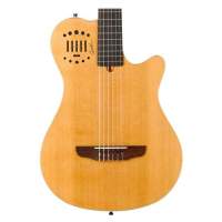 godin nylon duet