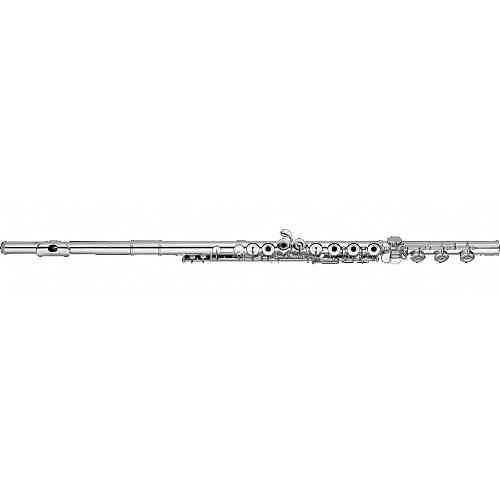 Поперечная флейта Sankyo Silversonic CF-301 RBE #1 - фото 1