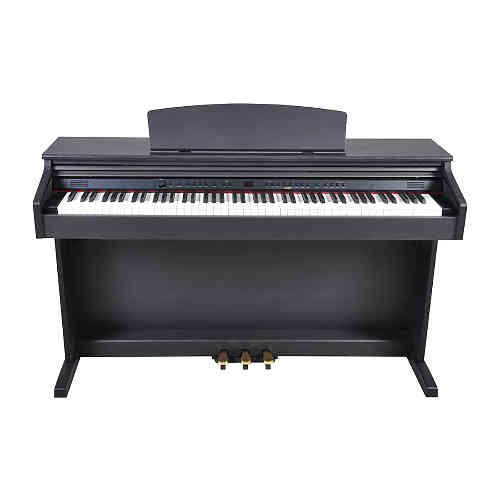 Цифровое пианино Artesia DP-7 Rosewood Satin #2 - фото 2