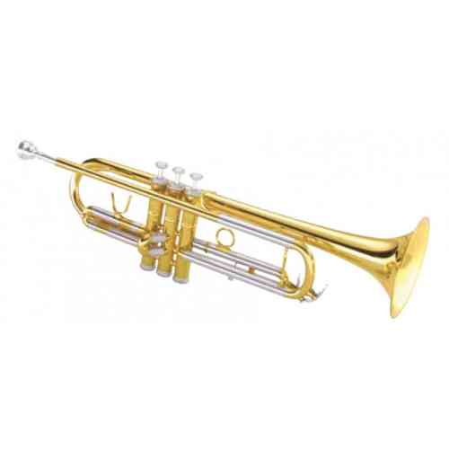 Музыкальная труба Maxtone TTC-236 #1 - фото 1
