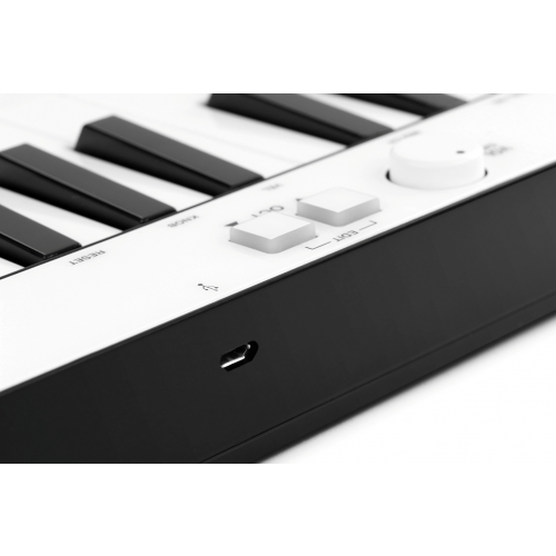 MIDI клавиатура IK Multimedia iRig Keys 25 #2 - фото 2