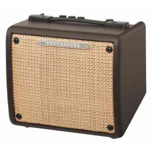 ibanez troubadour acoustic amp