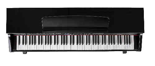 Цифровое пианино Orla CDP 101 black #2 - фото 2