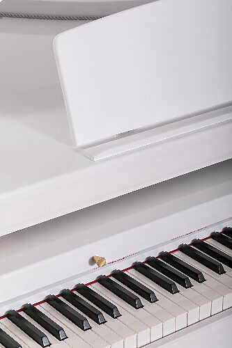 Цифровое пианино Orla Grand 500 White #5 - фото 5