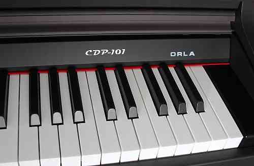 Цифровое пианино Orla CDP 101 палисандр #3 - фото 3