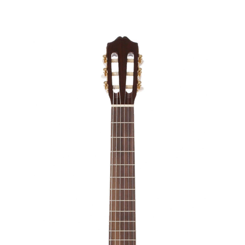 Классическая гитара Cordoba IBERIA C3 M #5 - фото 5