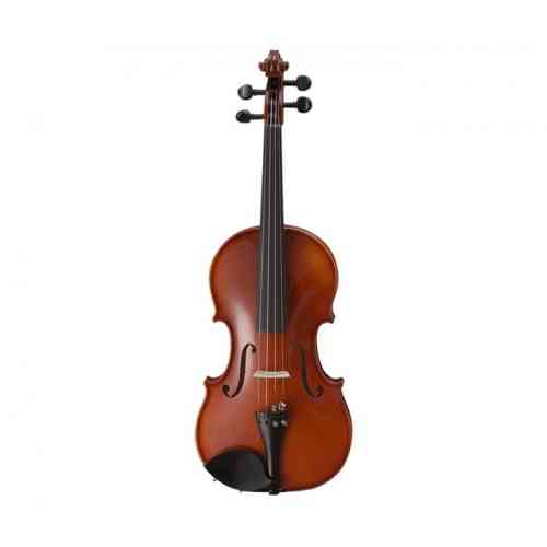 Скрипка 4/4 Strunal 205w-Antique-4/4 #1 - фото 1