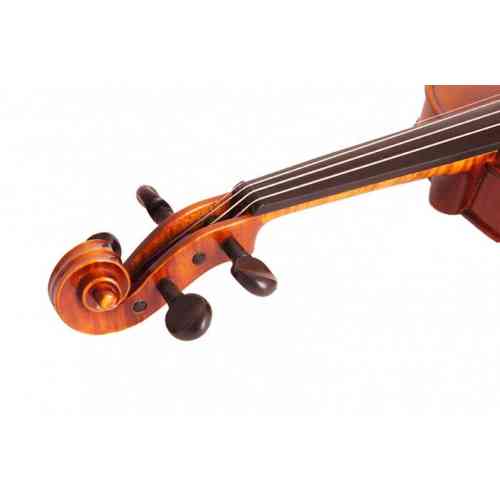 Скрипка 4/4 Strunal 205w-Antique-4/4 #2 - фото 2