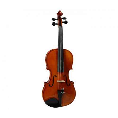Скрипка 1/2 Strunal 1750-1/2 #1 - фото 1