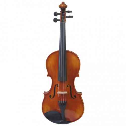 Скрипка 3/4 Strunal 1750-3/4 #3 - фото 3