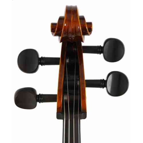 Скрипка 4/4 Strunal 1930-4/4 #2 - фото 2