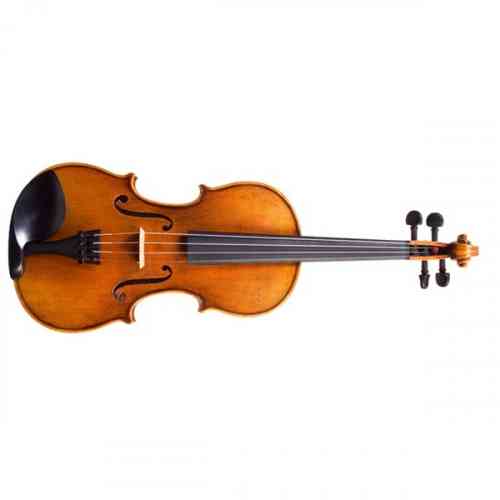 Скрипка 4/4 Tononi VN300 4/4 #2 - фото 2