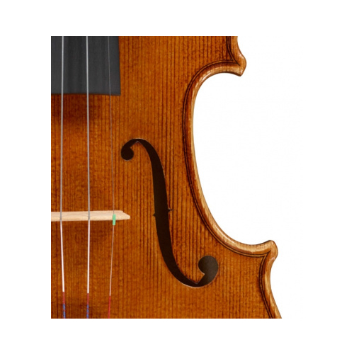 Скрипка 4/4 Tononi VN300 4/4 #3 - фото 3