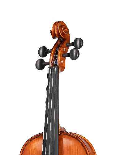 Скрипка 1/2 Gliga Gems 1 AW-V012 1/2 #2 - фото 2