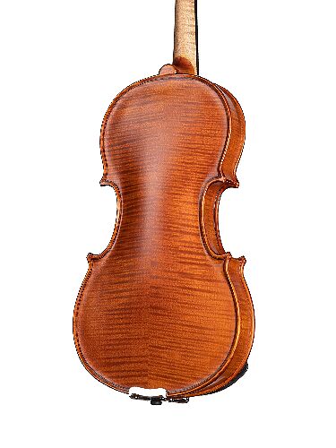 Скрипка 1/2 Gliga Gems 1 AW-V012 1/2 #3 - фото 3