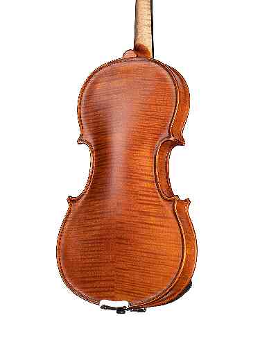 Скрипка 1/2 Gliga Gems 1 AW-V012 1/2 #3 - фото 3