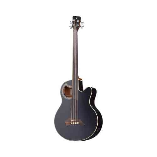Акустическая бас-гитара Rockbass ALIEN Standard 4 BK SHP #1 - фото 1
