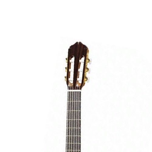 Классическая гитара Raimundo R 128 S #3 - фото 3