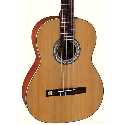 Классическая гитара PRO ARTE GC 242 II  #1 - фото 1