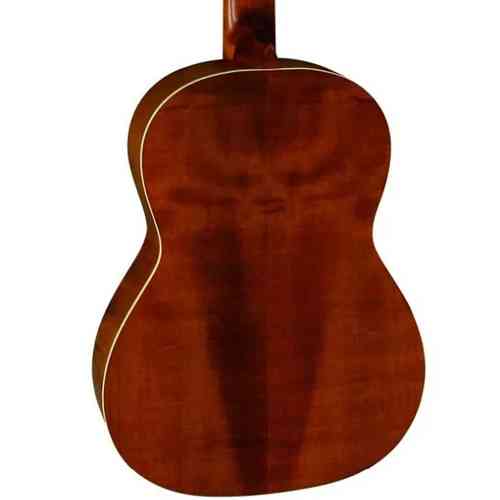 Классическая гитара PRO ARTE GC 242 II  #2 - фото 2